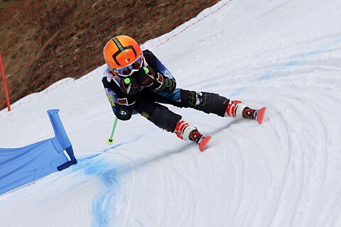 Campionato regionale Cuccioli SKICROSS Tonale 01/03/2023